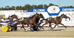 Emerging Talents and Exciting Victories in the World of Harness Racing