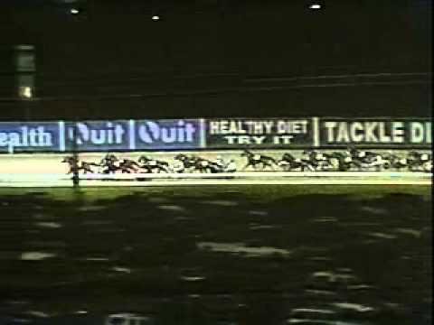 Arcee Phoenix Emerges as Inter Dominion Trotting Championship Favorite