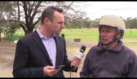 Trainer Gary Hall Snr Gears Up Top Horses for Thrilling Race