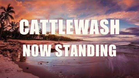 Cattlewash Proves Prolific in North American Harness Racing Scene