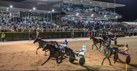 Leap To Fame Favored to Triumph in Inter Dominion Finals