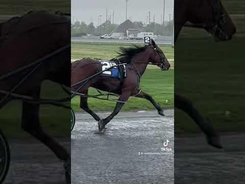 Leap To Fame Withdrawal Shocks Harness Racing Community