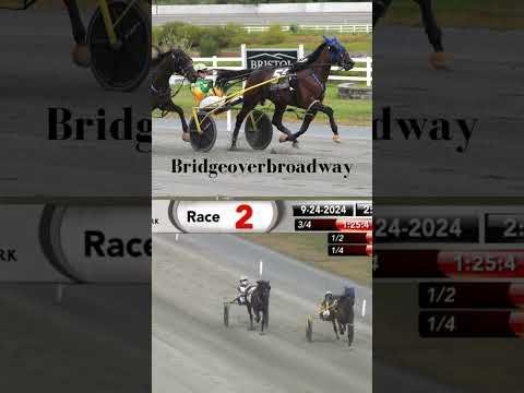 Harness Racing Pro Troy Beyer’s Meteoric Career Growth