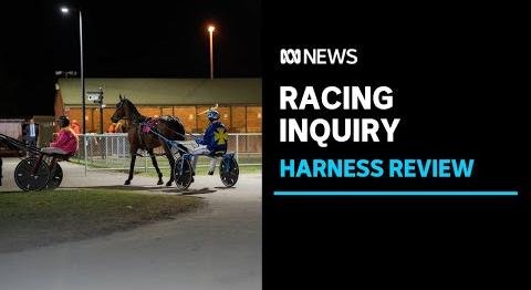 Allegations of Race Fixing and Doping Rock Tasmanian Harness Racing