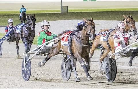 Champion Just Believe Leads Australian Charge at NZ Cup