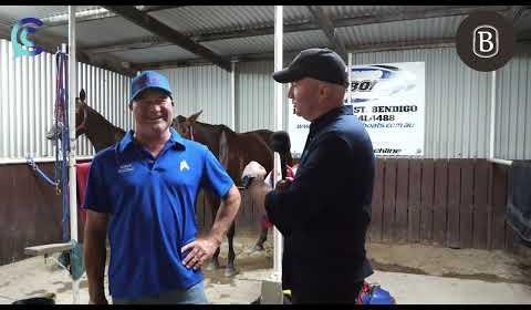 Bendigo Harness Racing Tips: Key Contenders and Winning Strategies