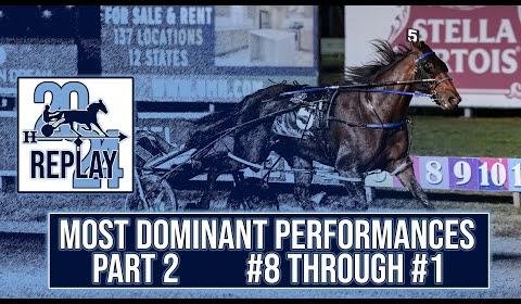 2024 Harness Racing Season: Divisional Champions and Standout Performances