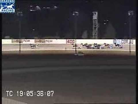 Ballarat Harness Racing: Contenders and Strategies Revealed