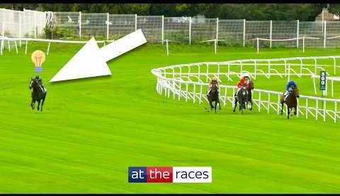 Mark Pitt’s Nine-Win Streak Shocks Horse Racing World