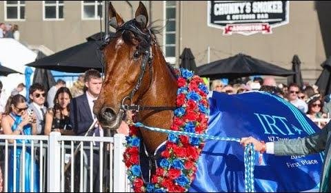 Menangle Harness Racing: Top Contenders Set for Thrilling Showdown